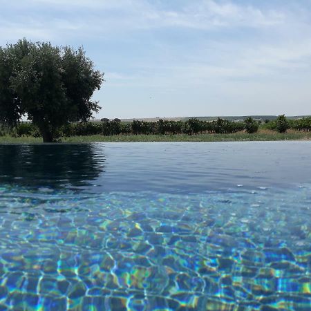 Terras - Agroturismo&Vinhos Beja Exterior foto