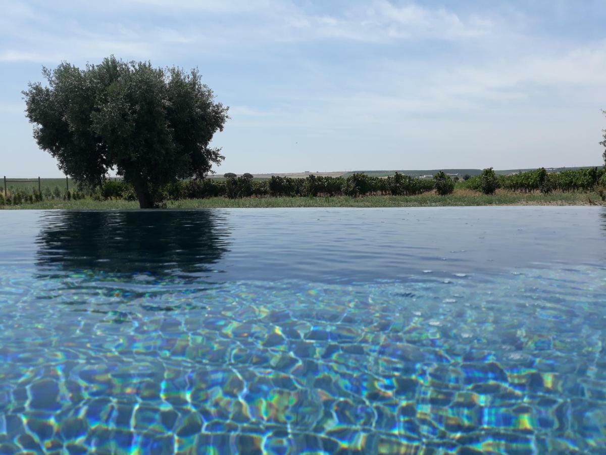 Terras - Agroturismo&Vinhos Beja Exterior foto